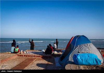 مسافران نوروزی در بوشهر