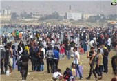 اقامت 17000 گردشگر در استان بوشهر