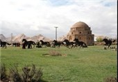 اجرای بزرگترین کار حجمی بازیافتی کشور در کرمان