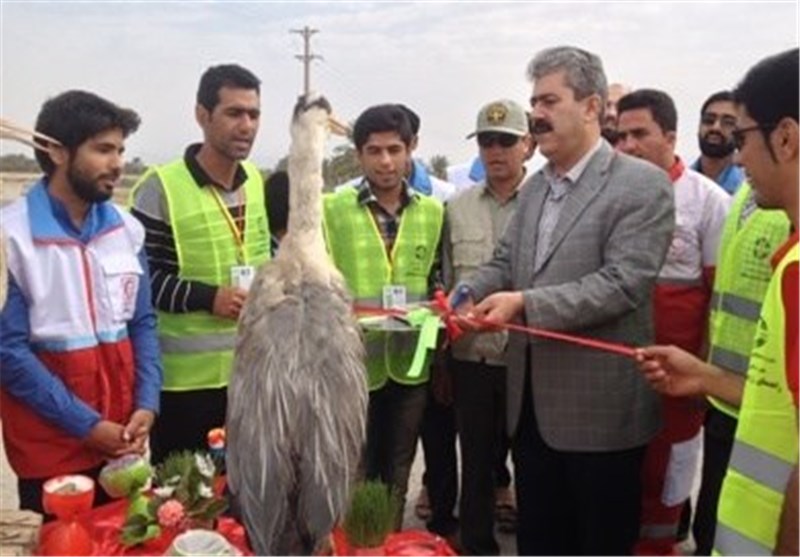 راه‌اندازی پایگاه نوروزی محیط زیست در8 شهرستان بوشهر