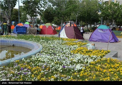 کمپ های نوروزی-شیراز