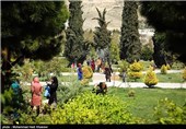 بازدید مسافران نوروزی از باغ ارم - شیراز