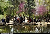 بازدید مسافران نوروزی از باغ ارم - شیراز