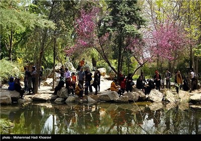 بازدید مسافران نوروزی از باغ ارم - شیراز