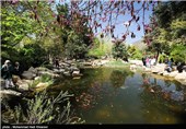 بازدید مسافران نوروزی از باغ ارم - شیراز
