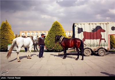 درشکه سواری در مجموعه نقش جهان-اصفهان