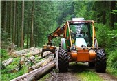 فائو خبر داد: افزایش 10 درصدی برداشت چوب از جنگل‌های ایران