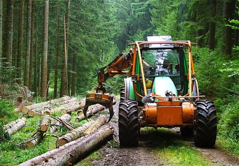 اره تیز صنایع چوب بر تنه درختان