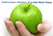 برنامه‌های هفته سلامت با محور سلامت خانواده در زنجان اجرا می‌شود