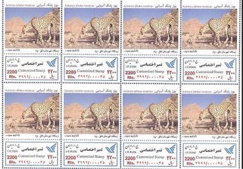 تمبرهای اختصاصی با موضوع یوزپلنگ آسیایی در بافق رونمایی شد