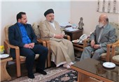 دیدار رئیس و اعضای شورای عالی استان‌‌ها با آیت الله شهرستانی