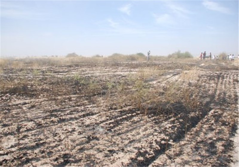 90 هکتار اراضی گندم کاکی در آتش سوخت