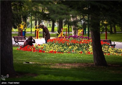 Tehran’s Mellat Park in Spring