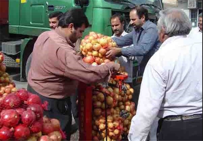 صادرات محصولات کشاورزی جنوب کرمان مشکلات کشاورزان منطقه را کاهش می‌دهد