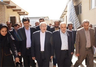 20 شرکت پتروشیمی در بندر چابهار جذب شده و فعالیت دارند