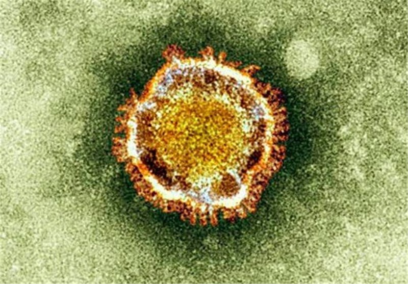 کرونا وائرس افغانستان میں بھی پہنچ گیا