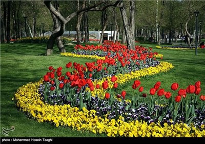 طراوت بهاری در بوستان ملت - مشهد