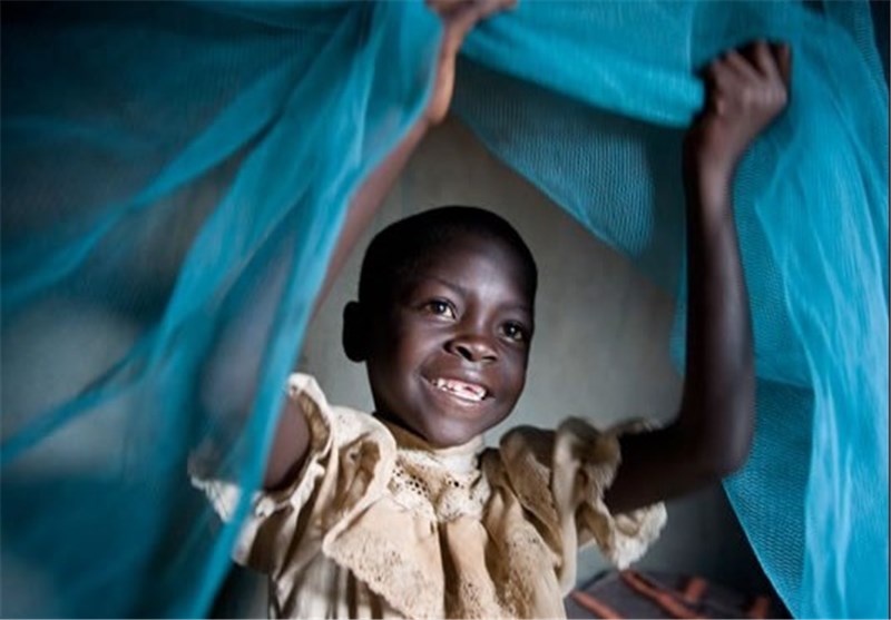 Immune System Protects Kids from Malaria