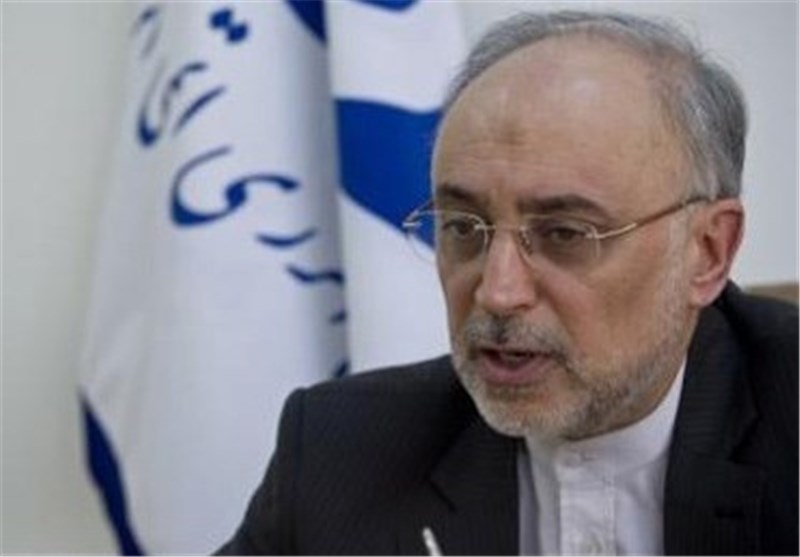 صالحی : ایران تنهی عملیة تخفیض الیورانیوم المخصب من 20 الى 5 بالمئة
