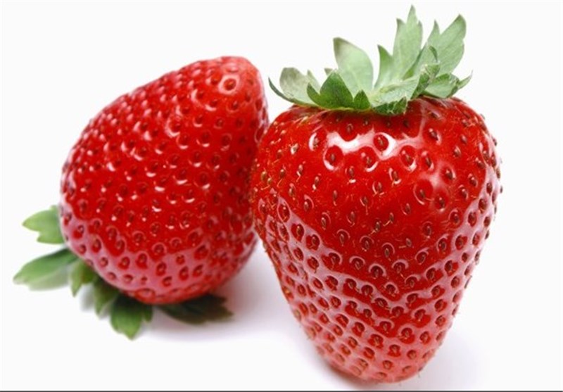 شهرستان سنندج مقام نخست تولید توت فرنگی کشور را دارد