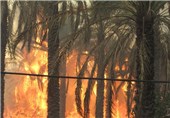 مهار آتش سوزی در ارتفاعات بخش مرکزی/بیش از 100 هکتار اراضی طعمه حریق شد