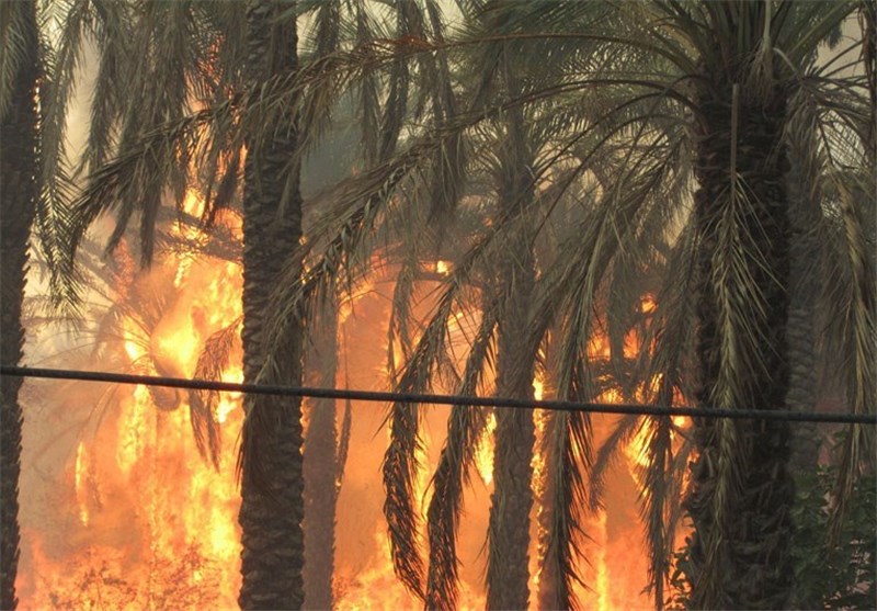 آتش سوزی 25 هکتار از منابع طبیعی گچساران