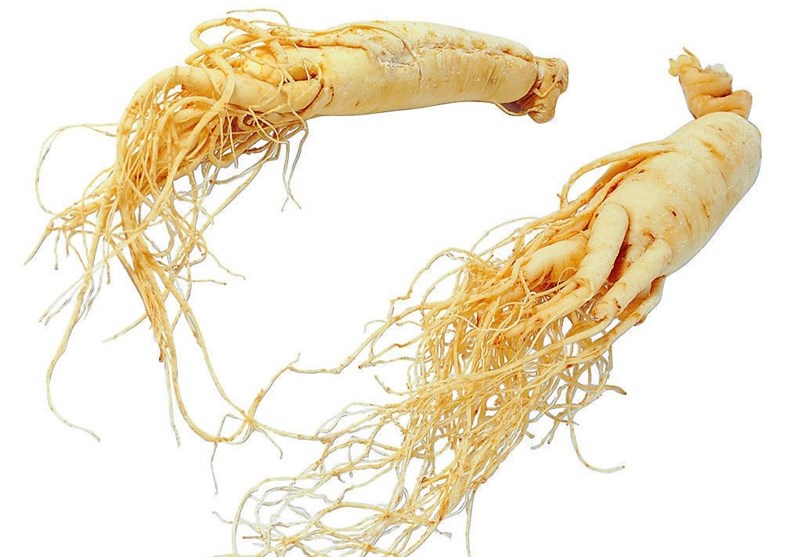Ginseng can Treat, Prevent Influenza, RSV: Study