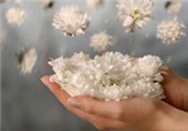 بخشش 5 محکوم تعزیرات حکومتی خوزستان