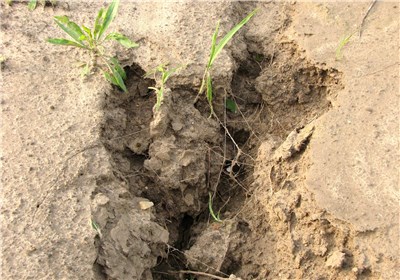 سالانه 15 تن فرسایش خاک در چهارمحال و بختیاری روی می‌دهد