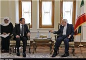 EU Won’t Be Safe from Consequences of Extremism in Syria, Zarif Warns