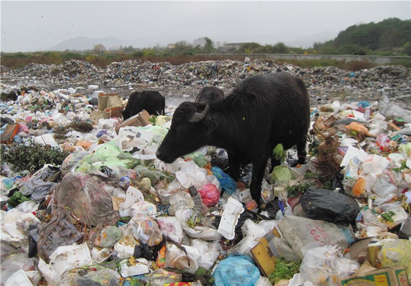 لایحه احداث کارخانه بازیافت زباله در شورای شهر زنجان رای نیاورد