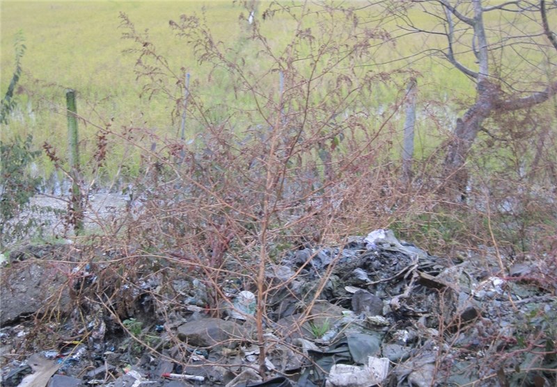 800 تن زباله روزانه در روستاهای گیلان تولید می‌شود