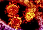 تعداد مبتلایان به ویروس کرونا در کشور به 5 نفر رسید/ پزشکان و پرستاران در خطر سرایت ویروس MERS