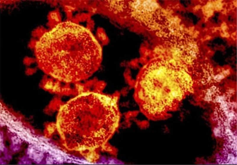 تعداد مبتلایان به ویروس کرونا در کشور به 5 نفر رسید/ پزشکان و پرستاران در خطر سرایت ویروس MERS