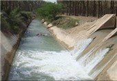 طرح اصلاح شیوه آبیاری در نخیلات استان بوشهر تصویب شد