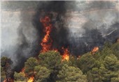 آتش سوزی مراتع فارس از مرز 3 هزار و 200 هکتار گذشت