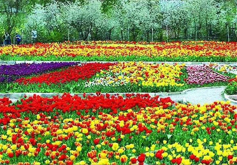 سهم ناچیز ایران از صادرات جهانی گل