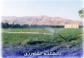 دانشکده کشاورزی و آبزی‌پروری در شهرستان ماهنشان احداث شود