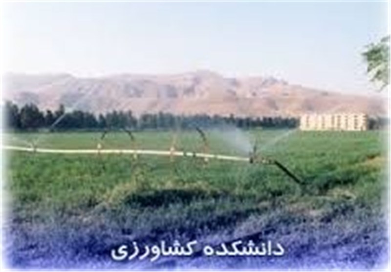 دانشکده کشاورزی دانشگاه بین‌المللی امام خمینی(ره) قزوین افتتاح شد
