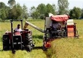 کشاورزی جنوب کرمان به حمایت مالی دولت نیاز ندارد