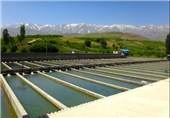 مشکلات پرورش دهندگان ماهی استان گلستان بررسی می‌شود
