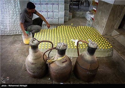 Rose Water Distillation in Iranian City of Kashan