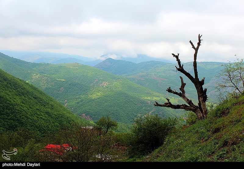 فشار برخی نمایندگان و دستگاه‌ها برای ایجاد معادن در جنگل ارسباران/ انسان عامل خشکی دریاچه ارومیه است