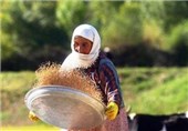 جشنواره اقتصاد مقاومتی، زنان روستایی و معیشت پایدار در لرستان آغاز به‌کار کرد