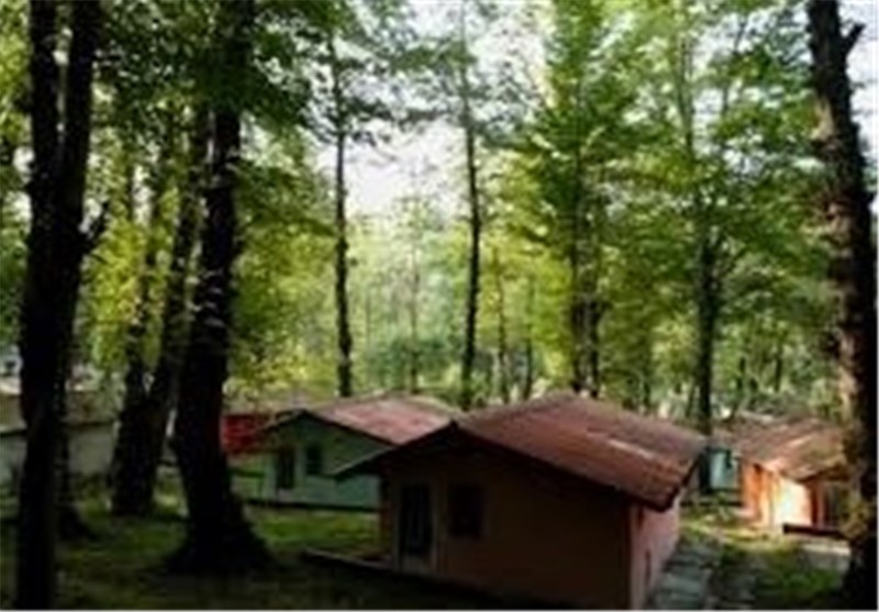 پارک جنگلی با مساحت 60 هکتار در زنجان ایجاد می‌شود