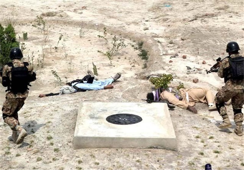Two Pakistani Troops Killed in Cross-Border Fire