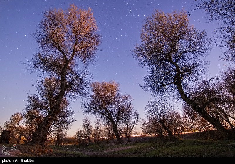 طبیعت بهاری خوزستان