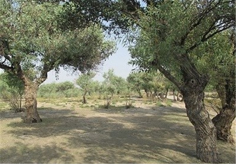 شهرستان مرزی مهرستان با جاذبه‌ها و آثار مختلف پذیرای گردشگران است- اخبار  استانها تسنیم | Tasnim