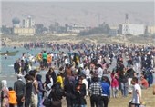 تور گردشگری بوشهرگردی راه‌اندازی شد