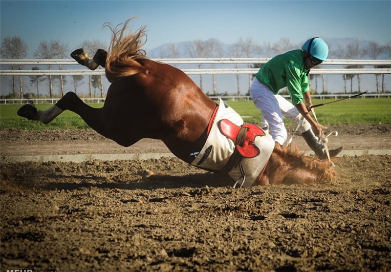 تصاویر سوارکاری در ترکمن صحرا